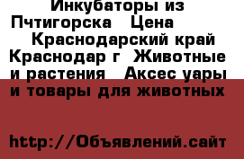  Инкубаторы из Пчтигорска › Цена ­ 35 000 - Краснодарский край, Краснодар г. Животные и растения » Аксесcуары и товары для животных   